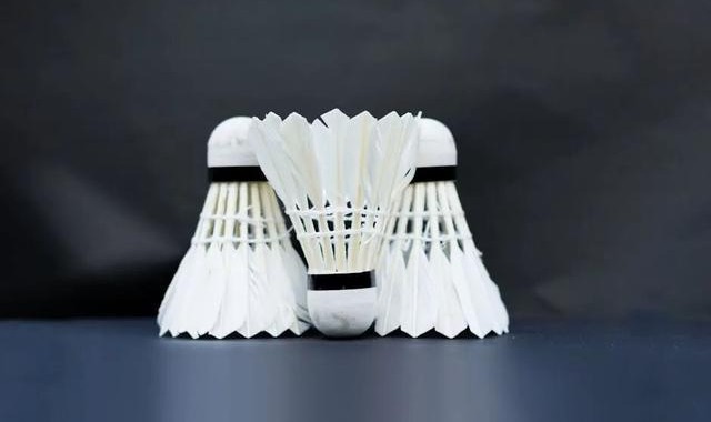 世预赛下注-羽毛球价格涨疯了！背后推手竟是猪肉？